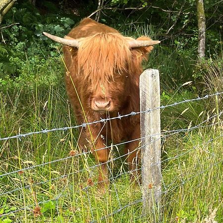 Ben Nevis Manor Bed & Breakfast ฟอร์ตวิลเลียม ภายนอก รูปภาพ