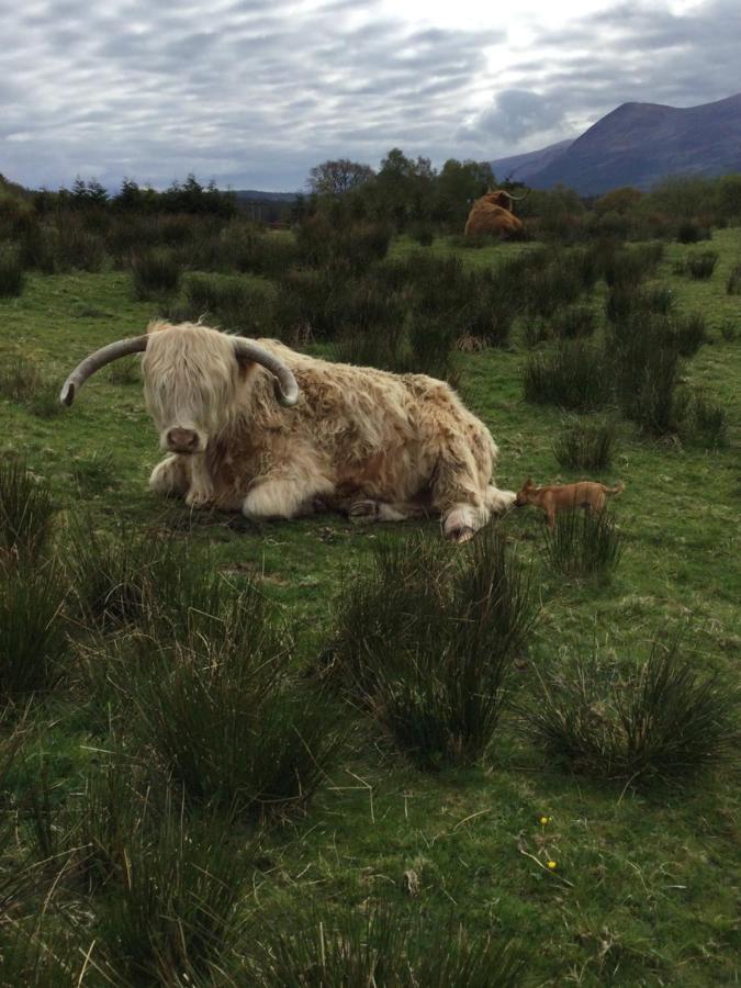 Ben Nevis Manor Bed & Breakfast ฟอร์ตวิลเลียม ภายนอก รูปภาพ